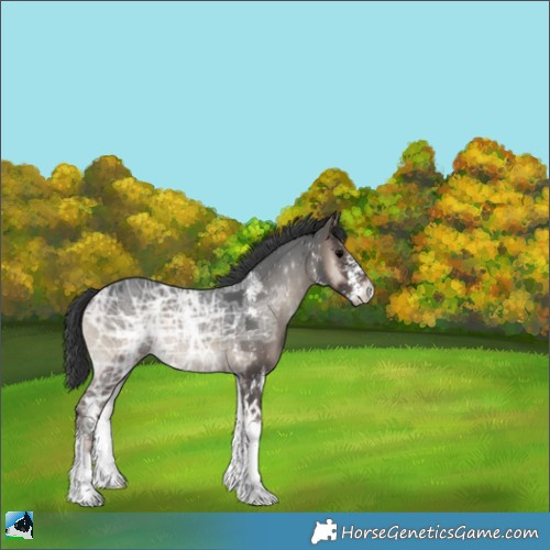 Horse Color:Blue Onyx Ice Sabino 