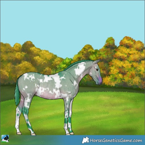 Horse Color:Watercolor White Spotted Brown Dun Rabicano Brindle 