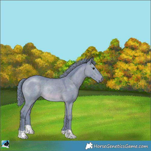 Horse Color:Watercolor Brown Dun Mushroom Rabicano