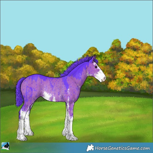 Horse Color:Watercolor Grullo Mushroom Sabino Rabicano Brindle 