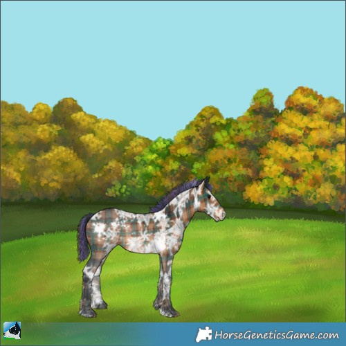 Horse Color:Painted Plaid  White Spotted Brown Ice 