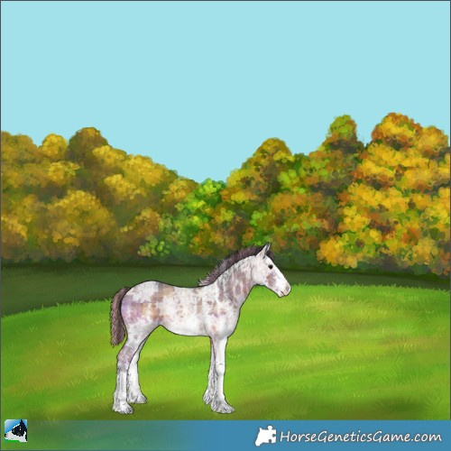 Horse Color:Painted Plaid  Brown Ice Sabino Rabicano 