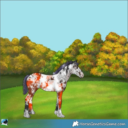 Horse Color:Painted White Spotted Brown Ice 