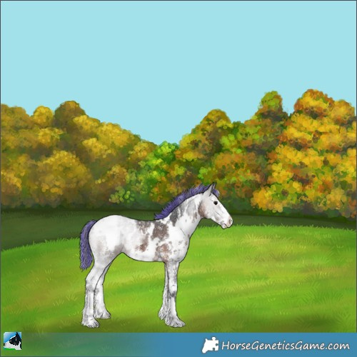 Horse Color:Painted White Spotted Brown Ice Sabino 
