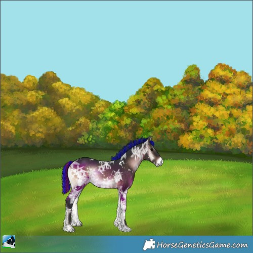Horse Color:Painted White Spotted Brown Ice Onyx 