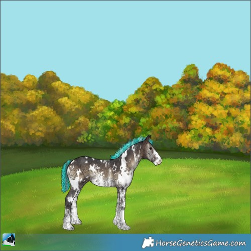 Horse Color:Painted White Spotted Brown Ice Onyx Sabino 