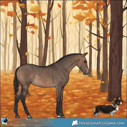 Horse Color:Bay Dun Rabicano Brindle 