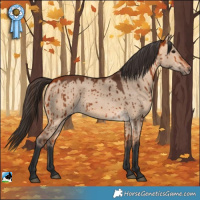 Horse Color:Bay Dun Rabicano Brindle 