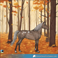 Horse Color:White Spotted Silver Brown Dun Rabicano Brindle 