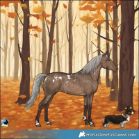 Horse Color:White Spotted Silver Brown Dun Rabicano Brindle