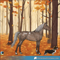 Horse Color:White Spotted Silver Brown Dun Rabicano Brindle