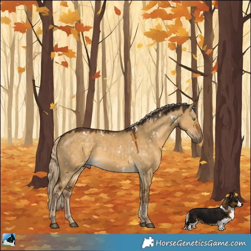 Horse Color:White Spotted Chocolate Palomino Dun Rabicano