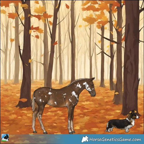 Horse Color:White Spotted Chocolate Palomino Rabicano 
