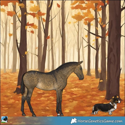 Horse Color:Buckskin Dun Rabicano 
