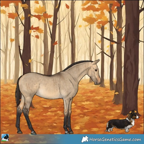 Horse Color:Buckskin Dun Rabicano Brindle 