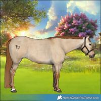 Horse Color:Gray Red Dun Roan 