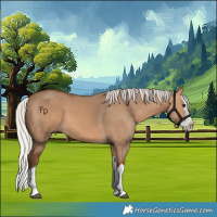 Horse Color:Silver Bay Dun Splash 