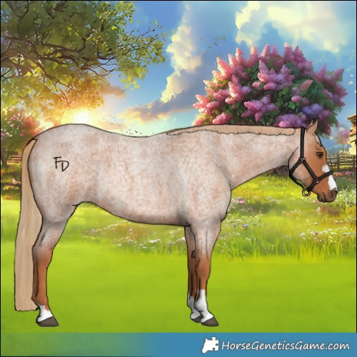 Horse Color:Red Roan 