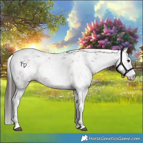 Horse Color:Bay Sabino Rabicano 