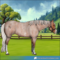 Horse Color:Silver Bay Roan Sabino 