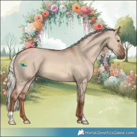 Horse Color:Red Dun Mushroom 