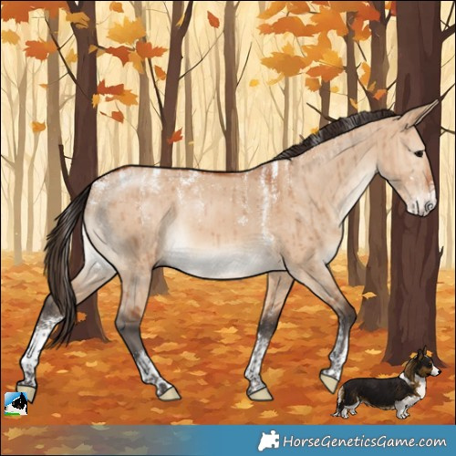 Horse Color:Powder White Bay Dun Brindle