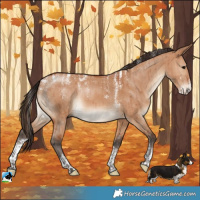 Horse Color:Powder White Bay Dun Brindle