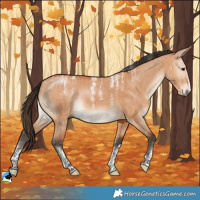Horse Color:Powder White Bay Dun Brindle