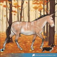 Horse Color:Powder White Bay Dun Brindle 