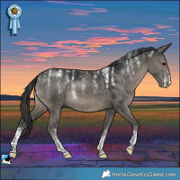 Horse Color:Powder White Grullo Rabicano Brindle 