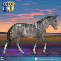 Horse Color:Powder White Grullo Rabicano Brindle 