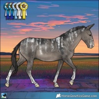 Horse Color:Powder White Grullo Rabicano Brindle 