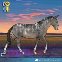 Horse Color:Powder White Grullo Rabicano Brindle 