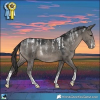 Horse Color:Powder White Grullo Rabicano Brindle 