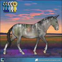 Horse Color:Powder White Grullo Rabicano Brindle