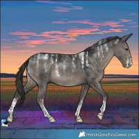 Horse Color:Powder White Grullo Rabicano Brindle