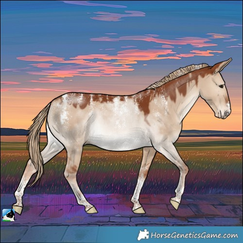 Horse Color:Powder White Red Dun