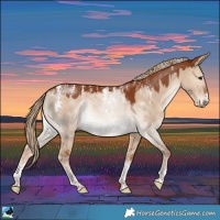 Horse Color:Powder White Red Dun 