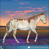Horse Color:Powder White Red Dun 