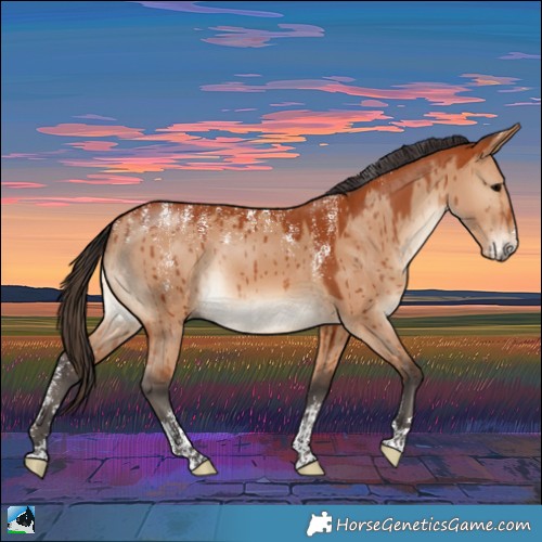 Horse Color:Powder White Bay Dun Rabicano Brindle 