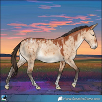 Horse Color:Powder White Bay Dun Rabicano Brindle 