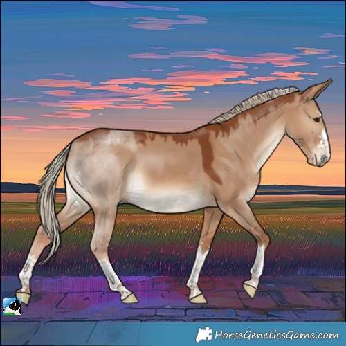 Horse Color:Red Dun