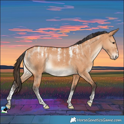 Horse Color:Powder White Bay Dun Rabicano Brindle 