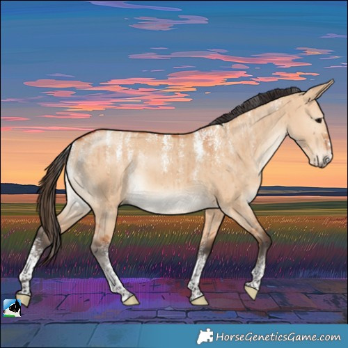 Horse Color:Powder White Bay Dun Rabicano Brindle 