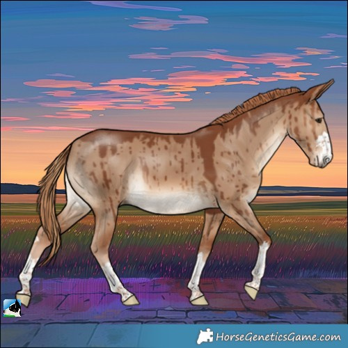 Horse Color:Red Dun Brindle