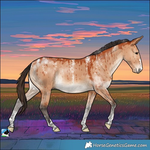 Horse Color:Powder White Bay Dun Rabicano Brindle