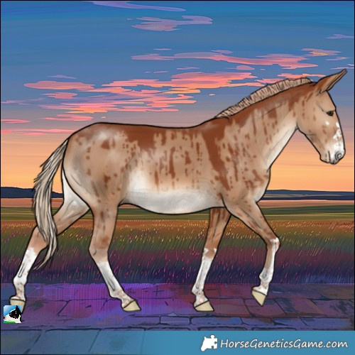 Horse Color:Red Dun Brindle 