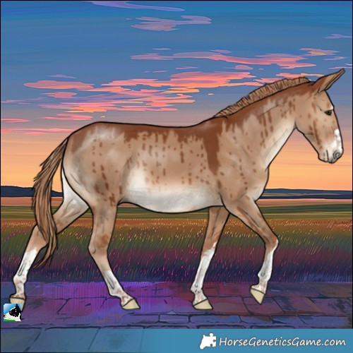 Horse Color:Red Dun Brindle 