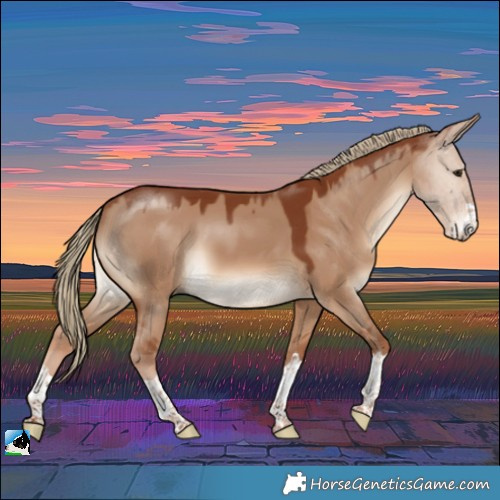 Horse Color:Red Dun 