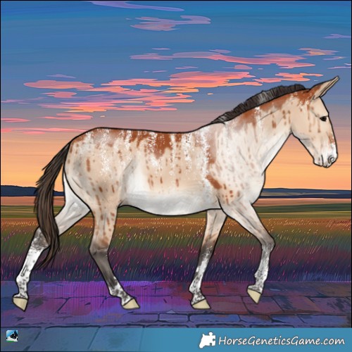 Horse Color:Powder White Bay Dun Brindle